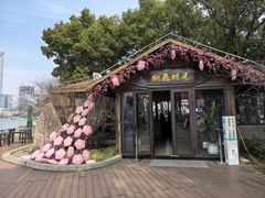 -金鸡湖桃花岛