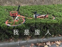 -塔斯提抓饭(东城汇店)