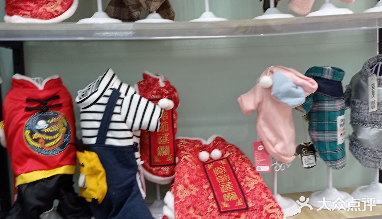 灰熊宠物，让爱宠美美哒