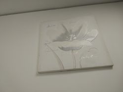 -斑斓色彩沙龙