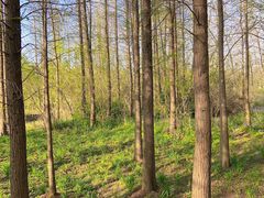 -溱湖国家湿地公园