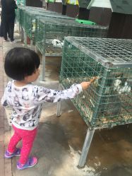 -蓝可可亲子乐园(北苑店)
