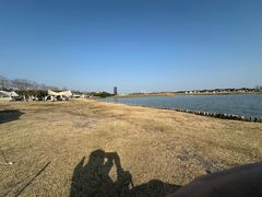 -春花秋色城市公园