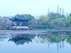-无锡蠡湖国家湿地公园-蠡园