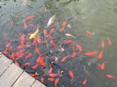 -中央戏剧学院(昌平校区)