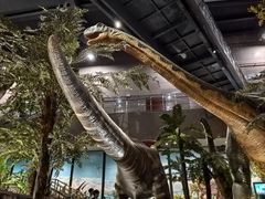 -湖南省地质博物馆