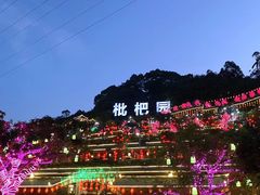 -枇杷园食为鲜火锅(南山店)