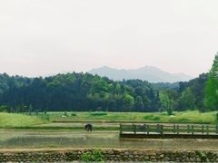 -清漾毛氏文化村