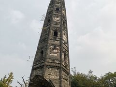 -上海佘山国家森林公园天马山园