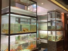 -甄御•海鲜新青岛菜(麦岛店)