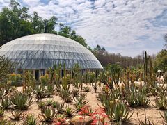 -深圳仙湖植物园