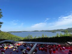 -天目湖涵田半山温泉