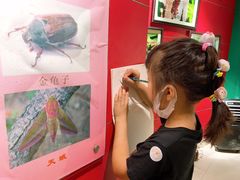 -上海昆虫博物馆