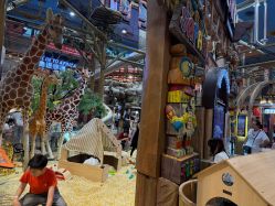-卡通尼·Safari非洲探索乐园·生日会(金桥国际商业广场店)