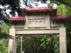 -红花湖景区
