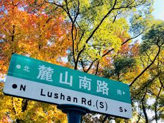 景点-橘子洲景区