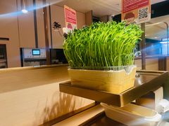 -海底捞火锅(吴中路店)