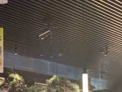 -绿茶餐厅(成都大悦城店)