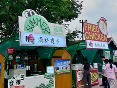-荷兰花海