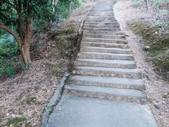 -风云岭森林公园