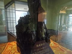 -天怡·鱼工厂(临江店)