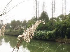 -上海怡沁园度假酒店