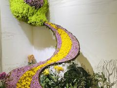 -杭州植物园