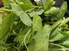 豌豆尖-镇江龙·火锅串串(武侯祠店)