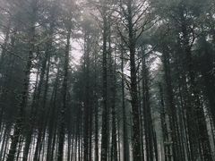 -石棉县孟获城