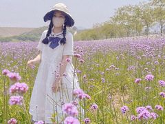 -光明小镇欢乐田园