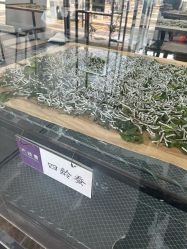 -太湖雪蚕桑文化园