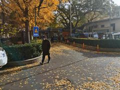 -山东傻大粗粮煎饼(牛街店)