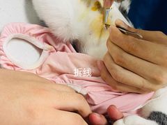 -达爱动物医院·犬猫分区·CT·复杂眼科(远洋山水分院)