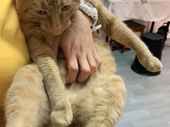 -羽·摄影工作室·外拍·跟拍·活动会议视频