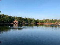 -清迈夜间动物园