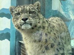 -青藏高原野生动物园