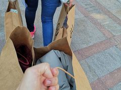 -VT101维多利广场