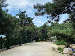 -沂蒙山旅游区龟蒙景区