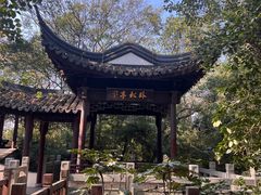 -上海佘山国家森林公园天马山园