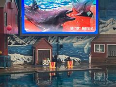 -西安曲江海洋极地公园