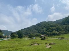 -大水川景区