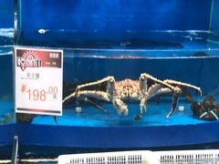 -果蔬好生活超市(乐堤港店)