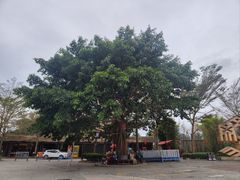 -七仙岭温泉国家森林公园