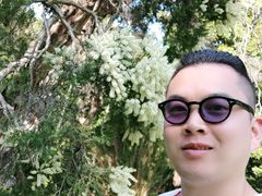 -墨尔本皇家植物园