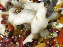 -金三可市井水煮鱼(金碧园店)