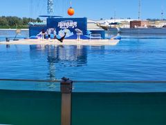 -秦皇岛乐岛海洋王国