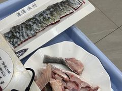 -源港渔村-中山脆肉鲩(博罗店)