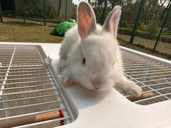 -春霞园餐厅