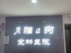 -A猫a狗全科·犬猫异宠·芥西宠物医院(南开总院)