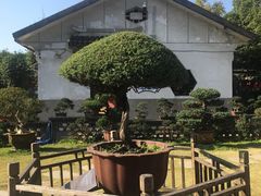 -水绘园